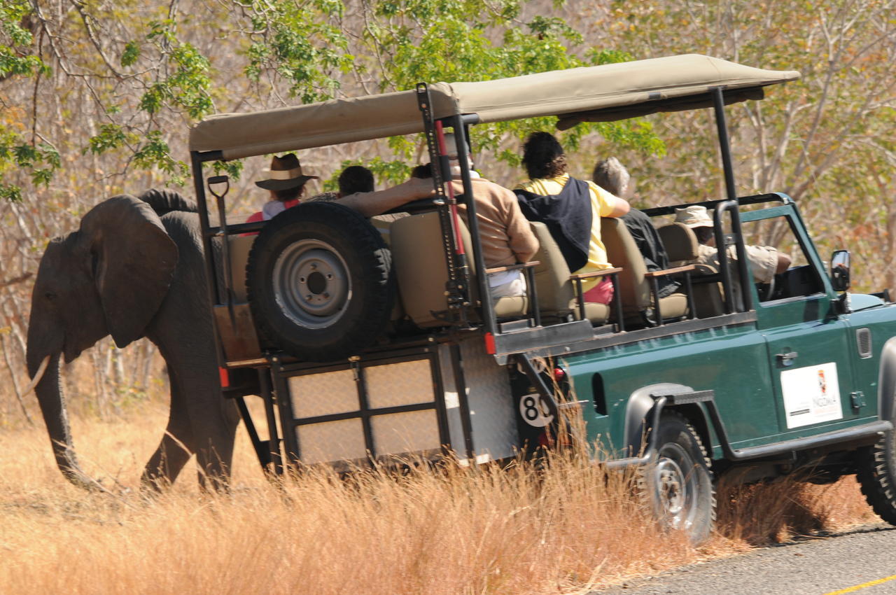 Ngoma Safari Lodge Kavimba Exterior foto