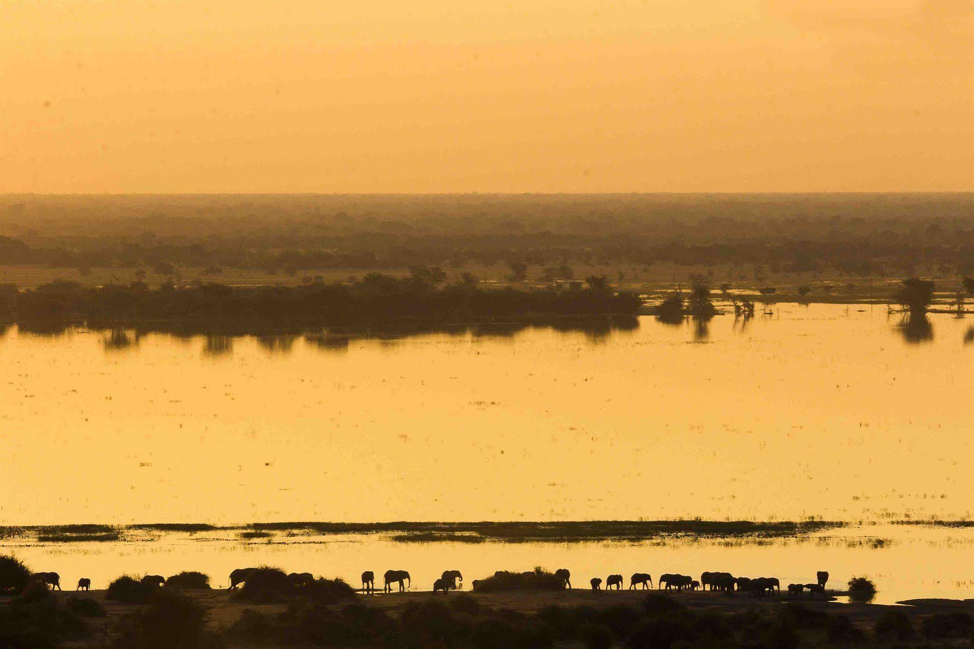 Ngoma Safari Lodge Kavimba Exterior foto